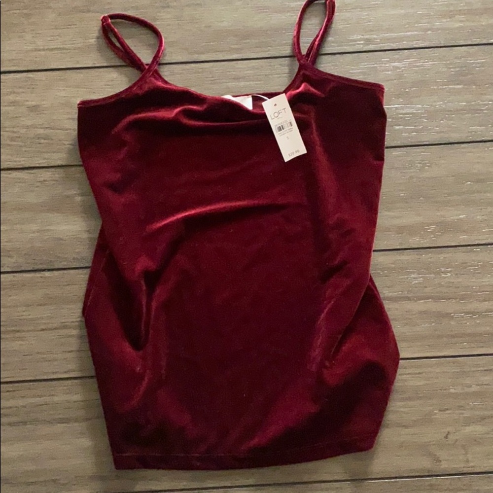 Loft velvet tank
